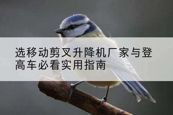 根河电动升降机厂家-选移动剪叉升降机厂家与登高车必看实用指南