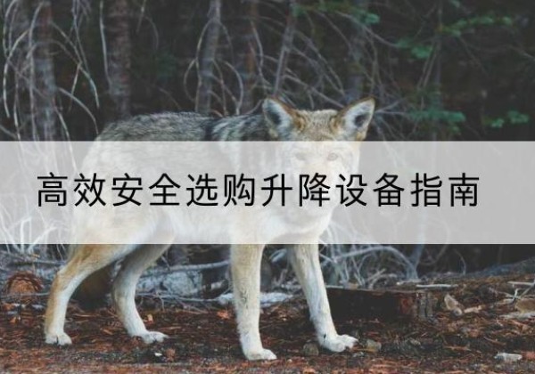 根河升降货梯厂家推荐-*安全选购升降设备指南